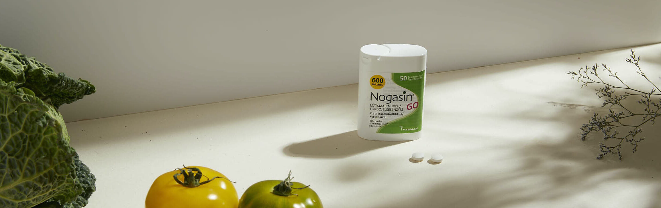 Nogasin4