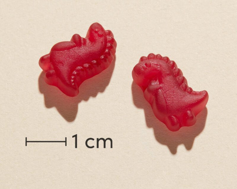 Minisun Dinomin Junior - Image 3