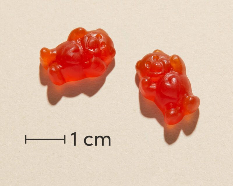 Minisun Teddymin Junior - Image 3