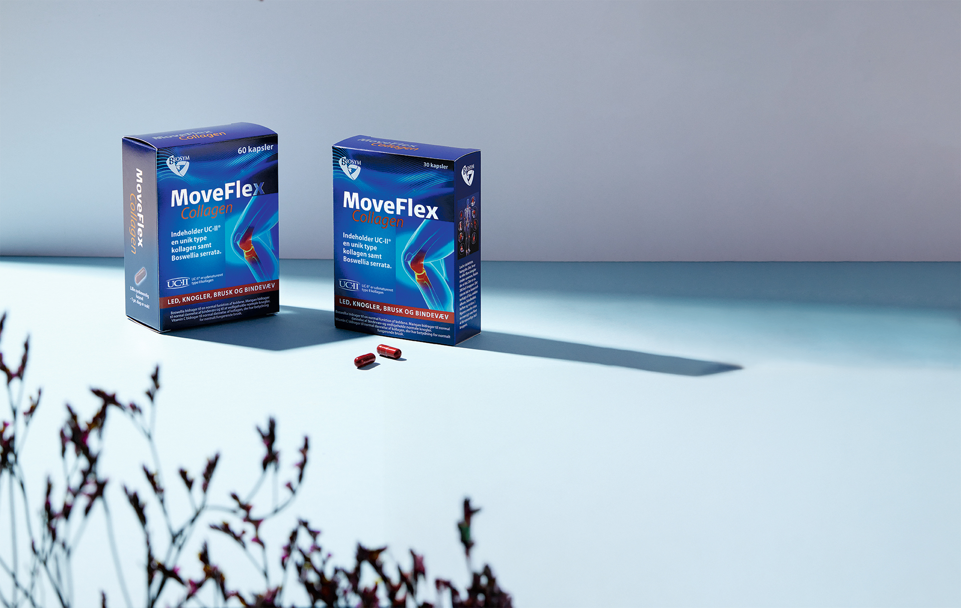 MoveFlex_Collagen_30+60kaps_2025