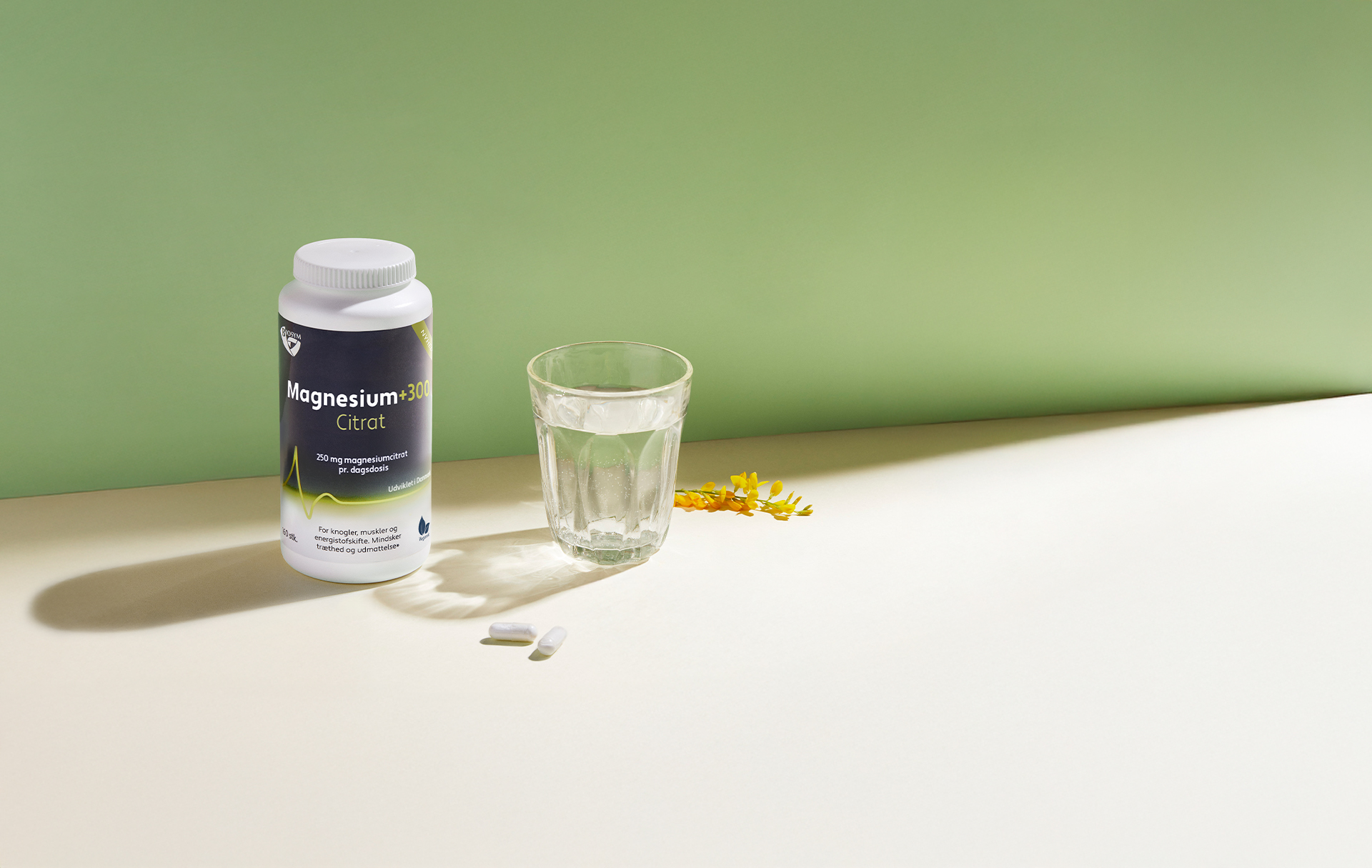 _Magnesium+300_Citrat_160stk_2025_Web